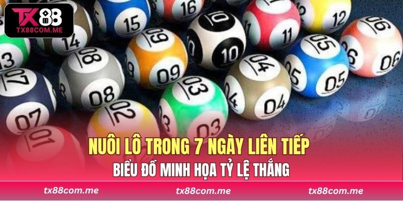 Biểu đồ minh họa tỷ lệ thắng khi áp dụng chiến lược nuôi lô trong 7 ngày liên tiếp