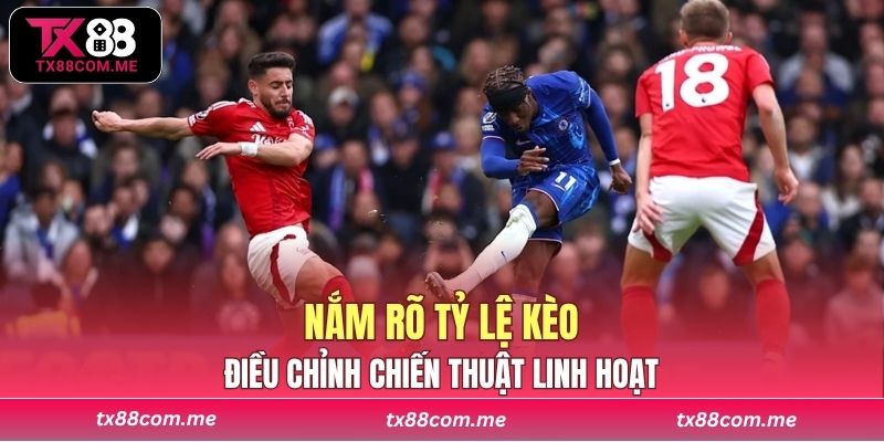 Việc nắm rõ tỷ lệ kèo giúp người chơi điều chỉnh chiến thuật linh hoạt